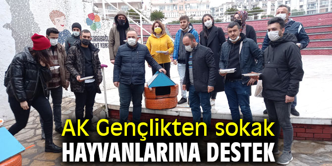 AK Gençlikten sokak hayvanlarına destek