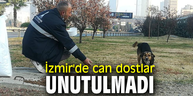 İzmir'de can dostlar unutulmadı