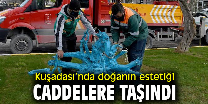 Doğanın estetiği caddelere taşındı