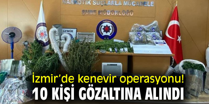 İzmir’de kenevir operasyonu! 10 kişi gözaltına alındı