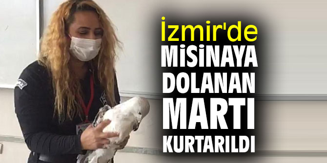 İzmir'de misinaya dolanan martı kurtarıldı