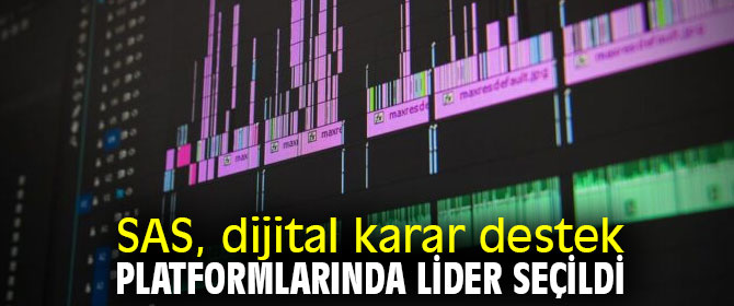 SAS, dijital karar destek platformlarında lider seçildi