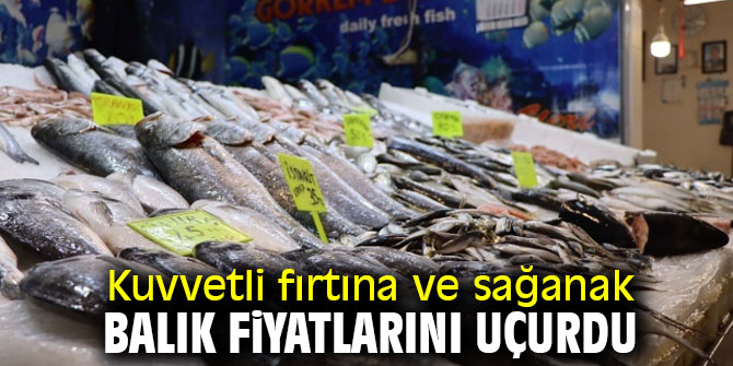 Kuvvetli fırtına ve sağanak, balık fiyatlarını vurdu!