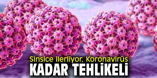 Uzmanı uyardı! Sinsice ilerliyor, Koronavirüs kadar tehlikeli