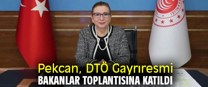 Pekcan, DTÖ Gayrıresmi Bakanlar Toplantısına katıldı
