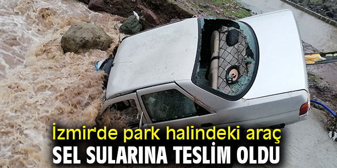 Park halindeki araç kullanılamaz hale geldi