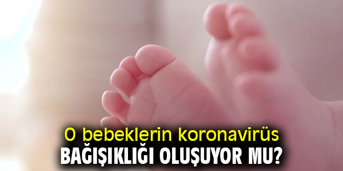 O bebeklerin koronavirüs bağışıklığı oluşuyor mu?