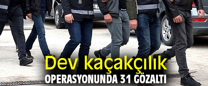 Dev kaçakçılık operasyonunda 31 gözaltı