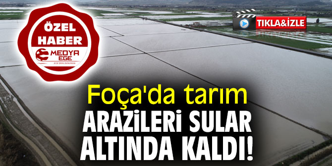 Foça'da tarım arazileri sular altında kaldı!