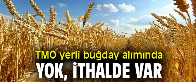 Gürer, 'TMO yerli buğday alımında yok, ithalde var'