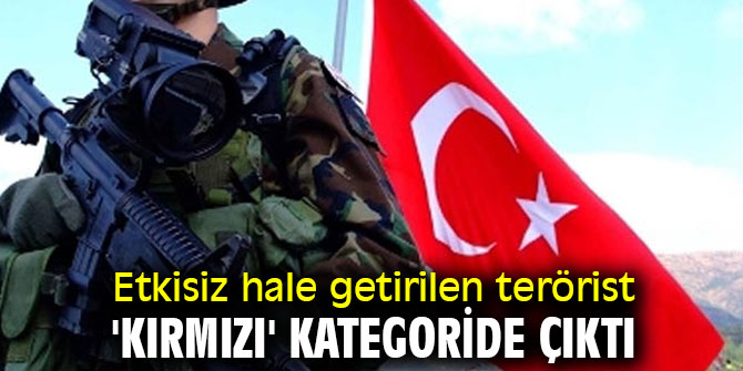'Kırmızı' kategorideki terörist etkisiz hale getirildi