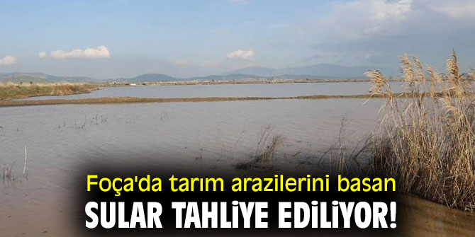 Foça'da tarım arazilerini basan sular tahliye ediliyor!