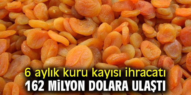 Kuru kayısı ihracatında hedef 300 milyon dolar
