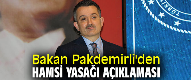 Bakan Pakdemirli'den hamsi yasağı açıklaması 