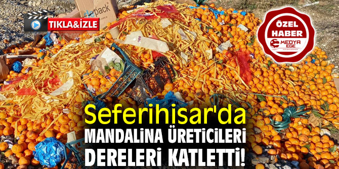 Seferihisar'da mandalina üreticileri dereleri katletti!
