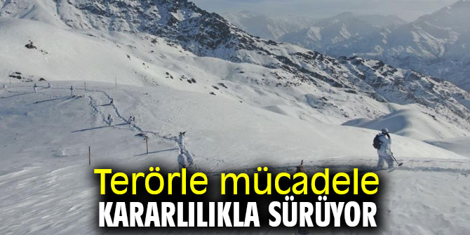Terörle mücadele kararlılıkla sürüyor