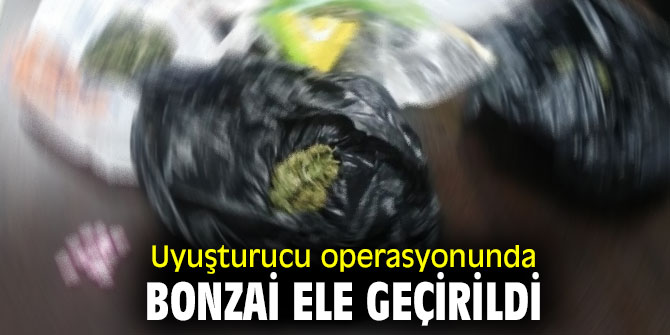 Uyuşturucu operasyonunda bonzai ele geçirildi