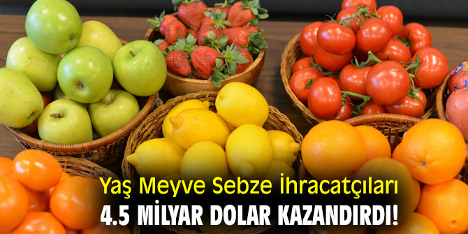 Yaş Meyve Sebze İhracatçıları  4.5 milyar dolar kazandırdı!
