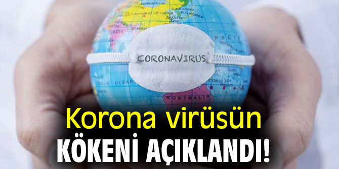Korona virüsün kökeni açıklandı!