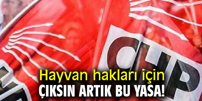 CHP’li Beko: Hayvan Hakları Yasası neden hala yasalaşmıyor?