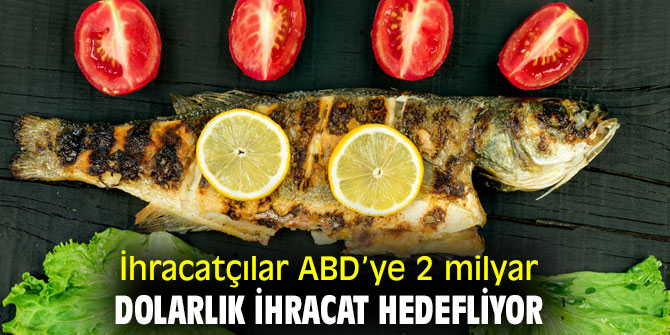 İhracatçılar ABD’ye 2 milyar dolarlık ihracat hedefliyor