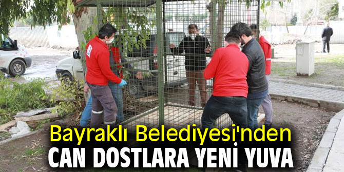 Bayraklı Belediyesi'nden can dostlara yeni yuva