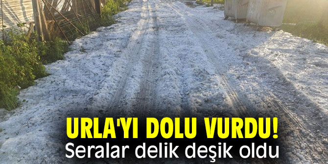 Urla'yı dolu vurdu! Seralar delik deşik oldu