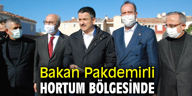 Bakan Pakdemirli "70 yılda iki kez görülen bir hadise"