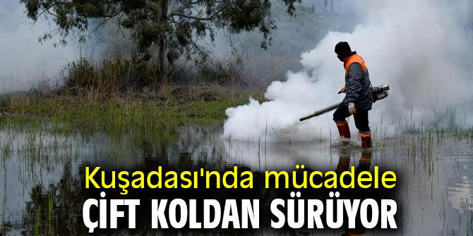 Kuşadası'nda mücadele çift koldan sürüyor