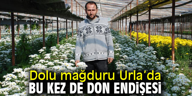 Urla’da üretici don öncesi endişeye kapıldı