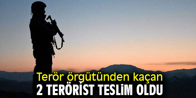 Terör örgütünden kaçan 2 terörist daha teslim oldu