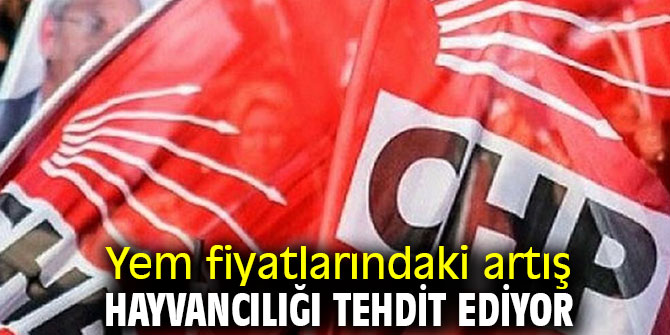 Yem fiyatlarındaki artış hayvancılığı tehdit ediyor