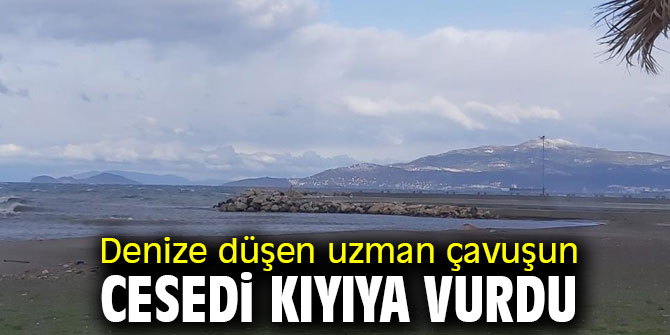 Denize düşen uzman çavuşun cesedi kıyıya vurdu