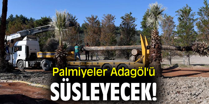 Palmiyeler Adagöl'ü süsleyecek!