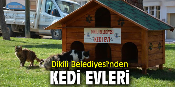 Dikili Belediyesi'nden kedi evleri 