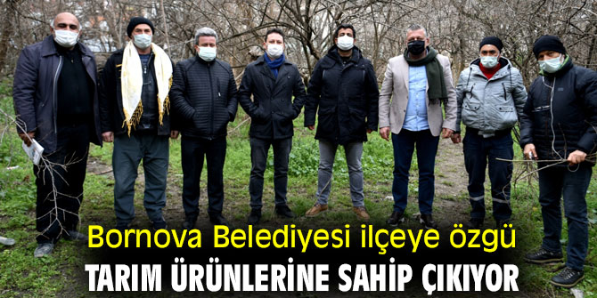 Bornova'ya özgü tarım ürünlerine sahip çıkılıyor!
