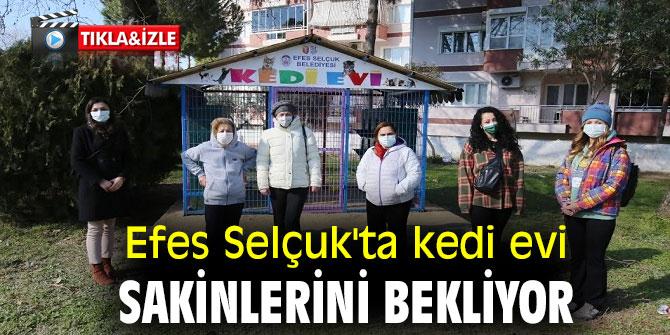EFES SELÇUK’TA KEDİ EVİ SAKİNLERİNİ BEKLİYOR 