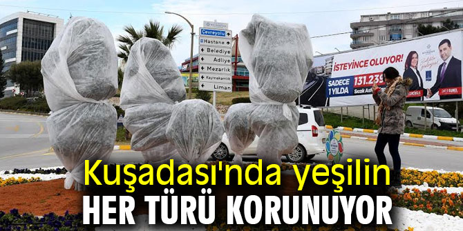 Kuşadası'nda yeşilin her türü korunuyor