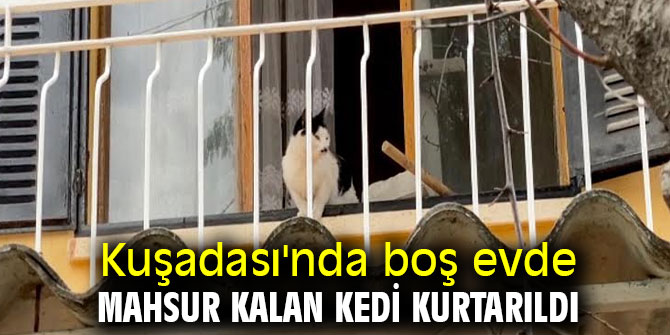 Kuşadası'nda boş evde mahsur kalan kedi kurtarıldı