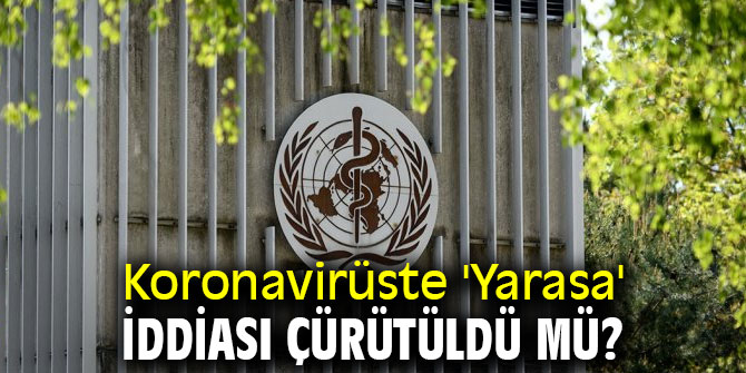 Koronavirüste 'Yarasa' iddiası çürütüldü mü? 