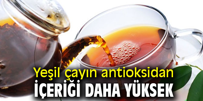 Uzmanı açıkladı! Yeşil çayın antioksidan içeriği daha yüksek