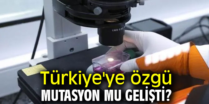 Türkiye'ye özgü mutasyon mu gelişti?