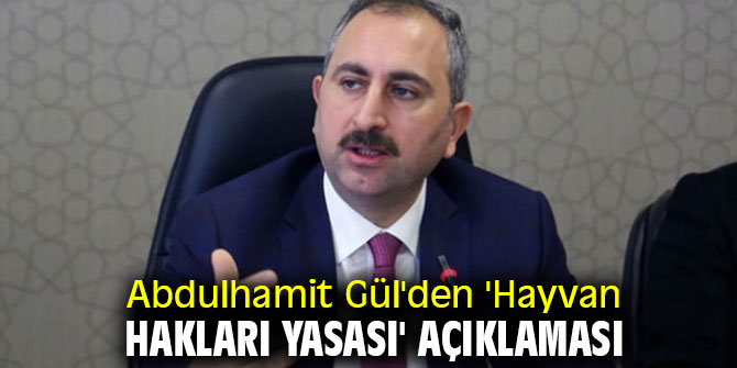 Abdulhamit Gül'den 'Hayvan hakları yasası' açıklaması