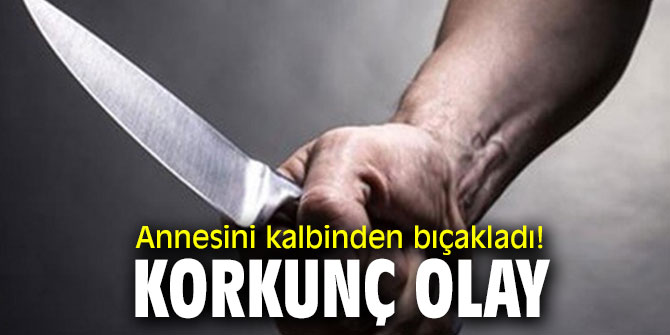 Annesini kalbinden bıçakladı