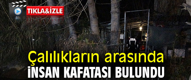 Çalılıkların arasında insan kafatası bulundu
