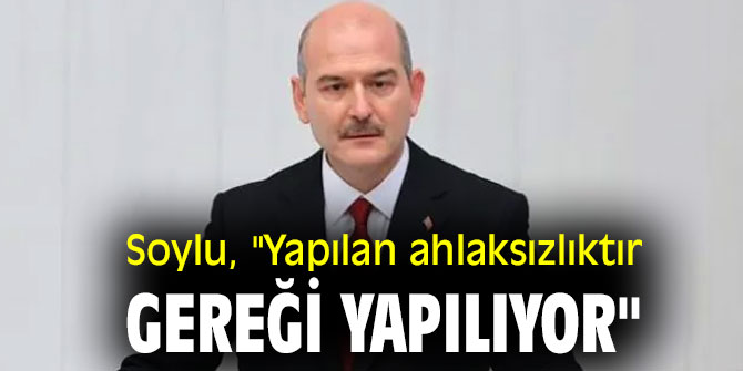 Süleyman Soylu, "Yapılan ahlaksızlıktır, gereği yapılıyor"