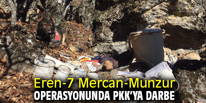 Eren-7 Mercan-Munzur operasyonunda PKK'ya darbe