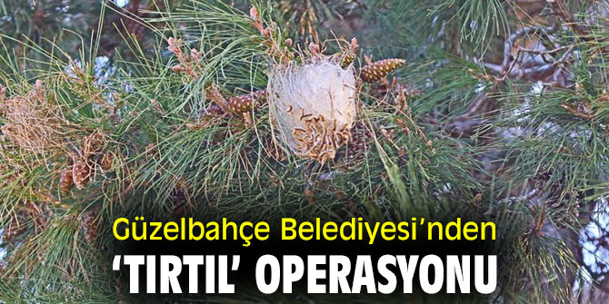 Güzelbahçe Belediyesi’nden ‘Tırtıl’ Operasyonu