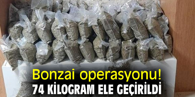 Bonzai operasyonu! 74 kilogram ele geçirildi