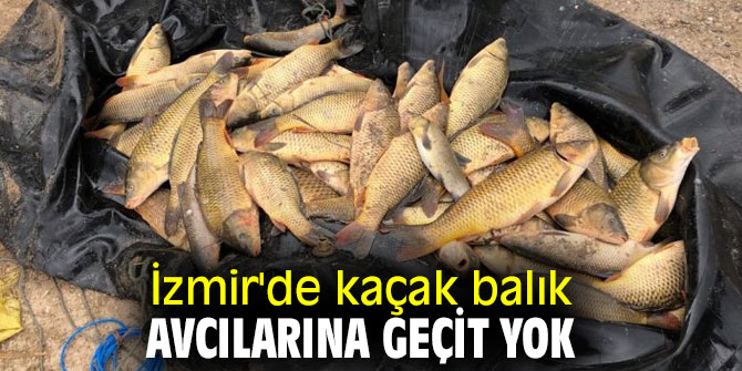 İzmir'de kaçak balık avcılarına geçit yok